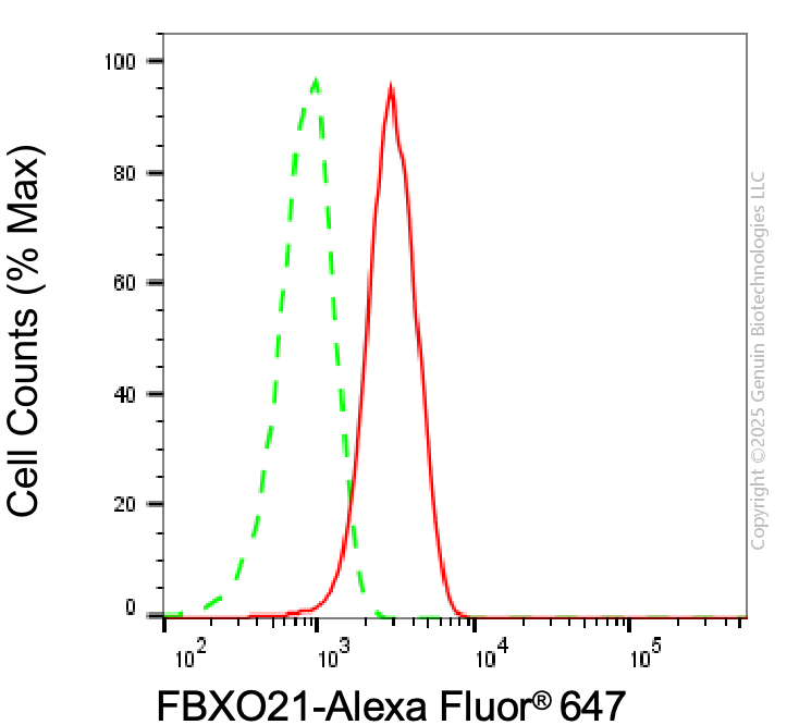 KD-Validated Anti-FBXO21 Mouse Monoclonal Antibody ABG2029