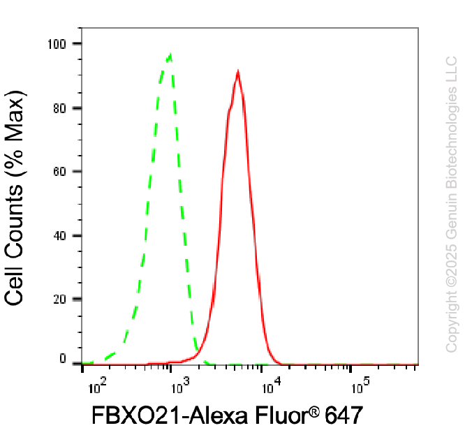 KD-Validated Anti-FBXO21 Mouse Monoclonal Antibody ABG2030
