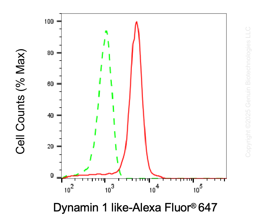 KD-Validated Anti-DNM1L Mouse Monoclonal Antibody ABG2034