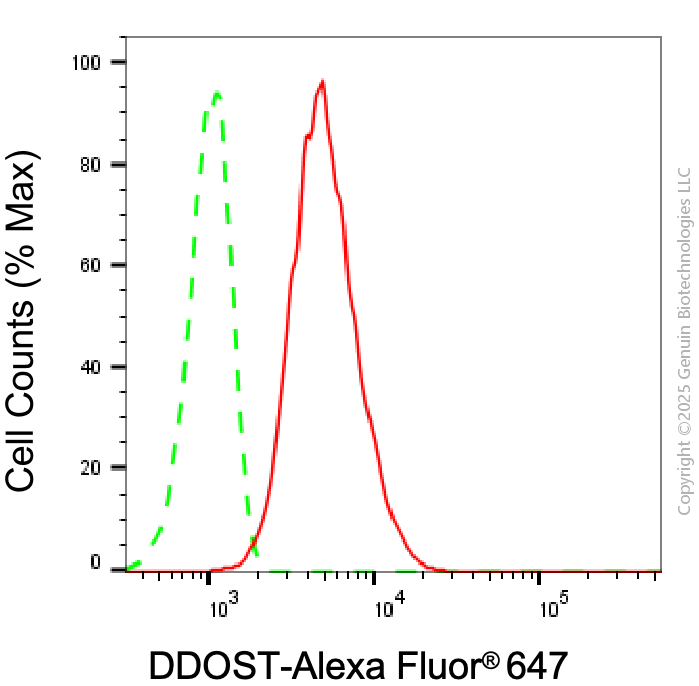 KD-Validated Anti-DDOST Mouse Monoclonal Antibody ABG2037