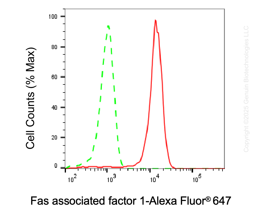 KD-Validated Anti-FAF1 Mouse Monoclonal Antibody ABG2039