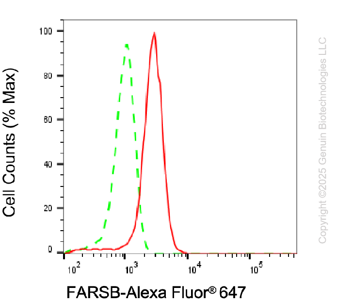 KD-Validated Anti-FARSB Mouse Monoclonal Antibody ABG2040