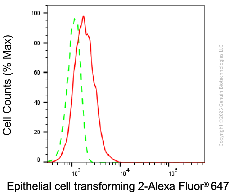 KD-Validated Anti-ECT2 Mouse Monoclonal Antibody ABG2041