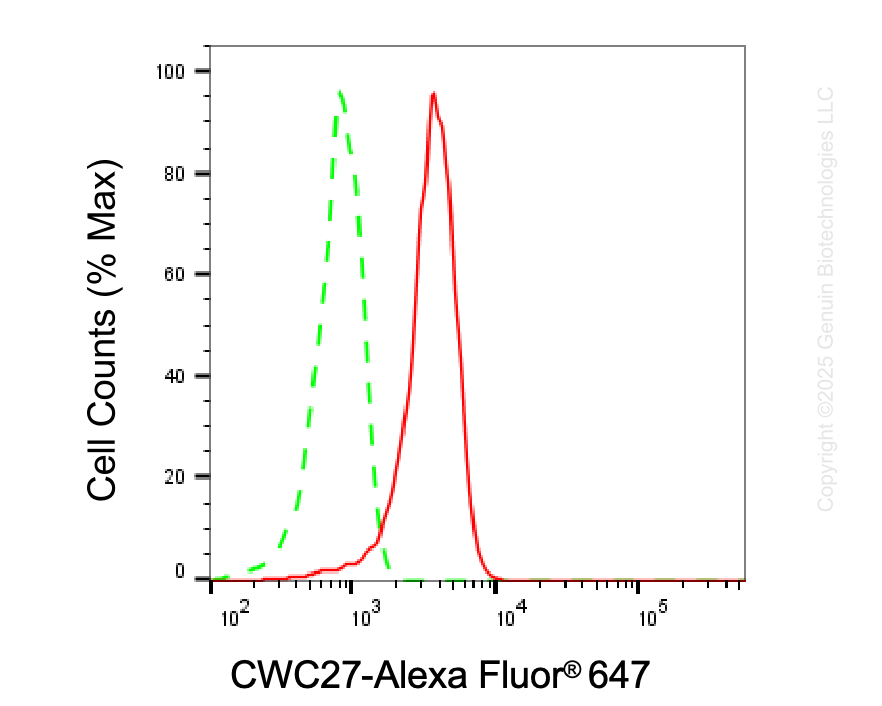 KD-Validated Anti-CWC27 Mouse Monoclonal Antibody ABG2044