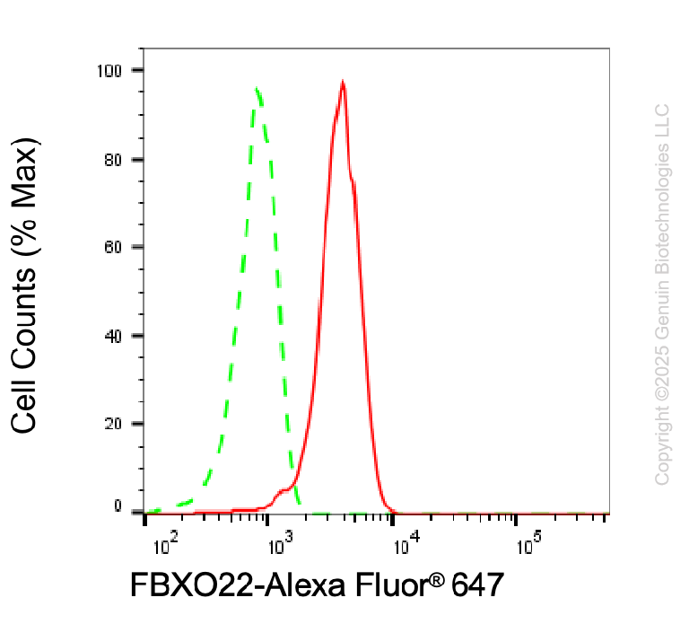 KD-Validated Anti-FBXO22 Mouse Monoclonal Antibody ABG2045