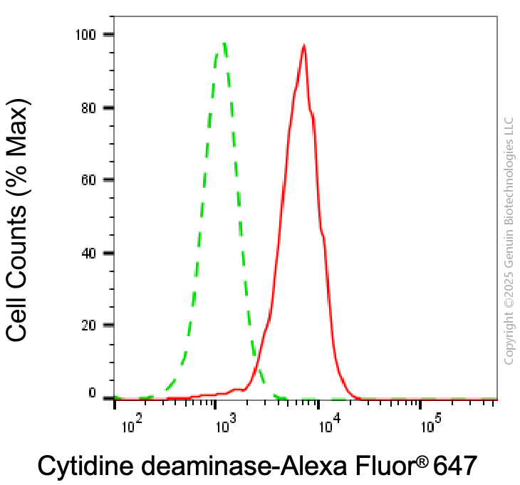 KD-Validated Anti-CDA Rabbit Monoclonal Antibody ABG2048