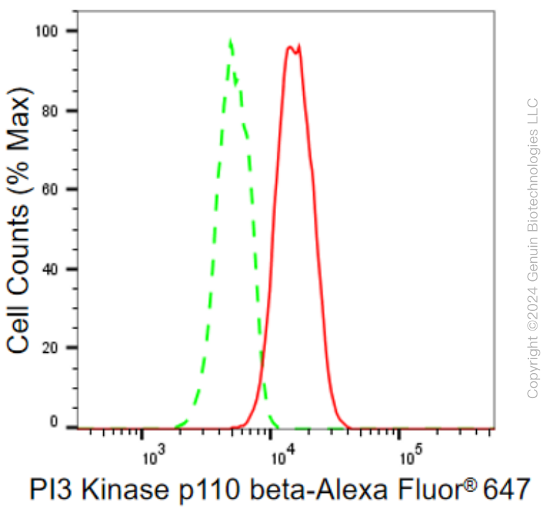 KD-Validated Anti-PI3 Kinase p110 beta Rabbit Monoclonal Antibody ABG2051