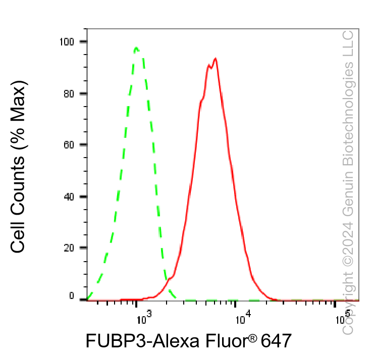 KD-Validated Anti-FUBP3 Mouse Monoclonal Antibody ABG2070