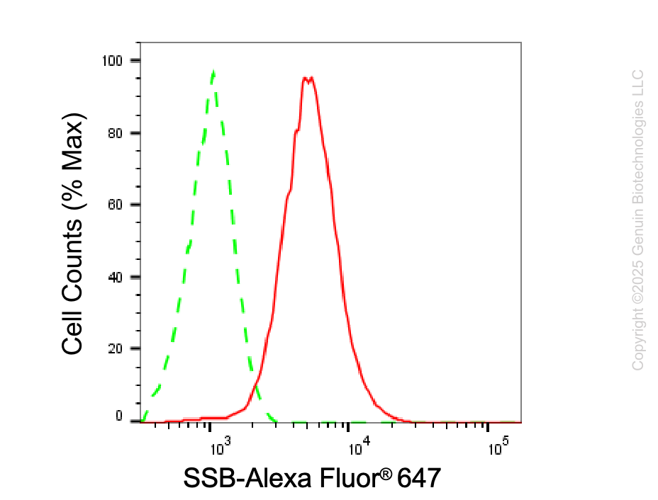 KD-Validated Anti-SSB Mouse Monoclonal Antibody ABG2073