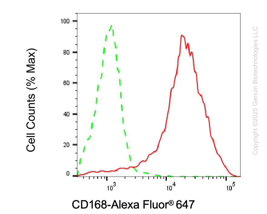 KD-Validated Anti-HMMR Rabbit Monoclonal Antibody ABG2100