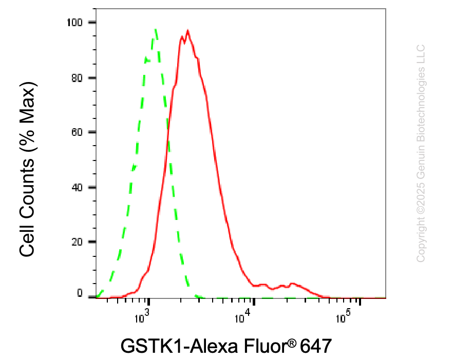 KD-Validated Anti-GSTK1 Rabbit Monoclonal Antibody ABG2102