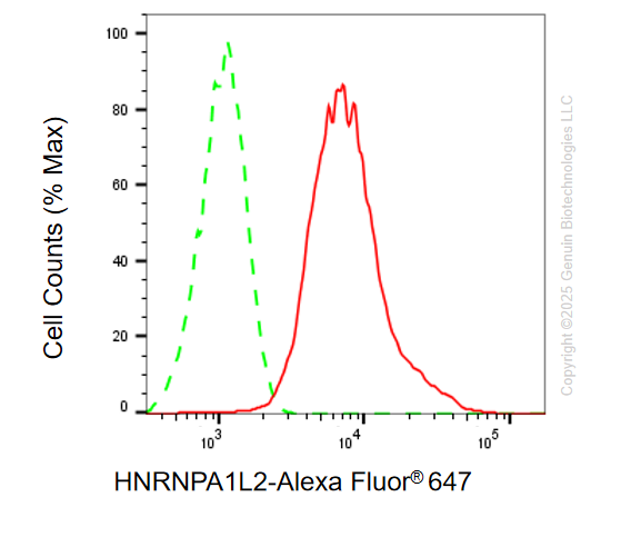 KD-Validated Anti-HNRNPA1L2 Rabbit Monoclonal Antibody ABG2103