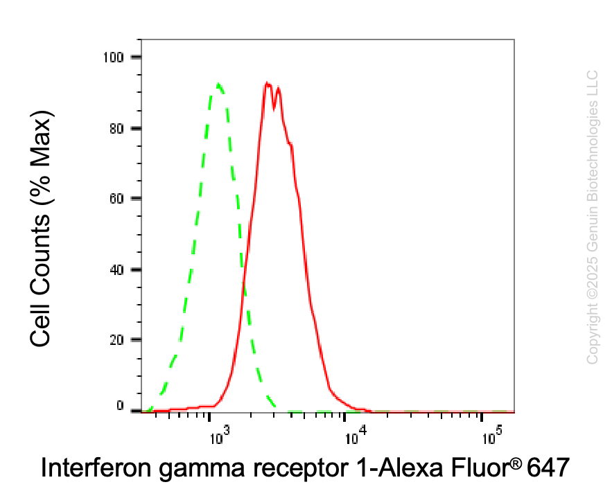 KD-Validated Anti-IFNGR1 Rabbit Monoclonal Antibody ABG2104