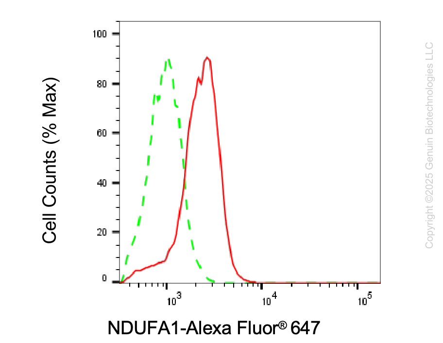 KD-Validated Anti-NDUFA1 Rabbit Monoclonal Antibody ABG2105