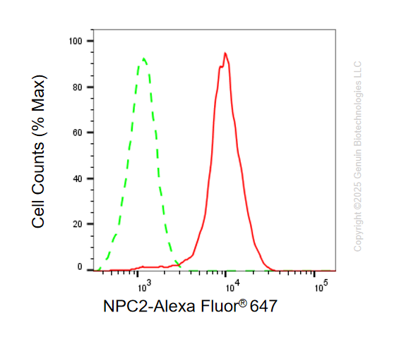 KD-Validated Anti-NPC2 Rabbit Monoclonal Antibody ABG2106