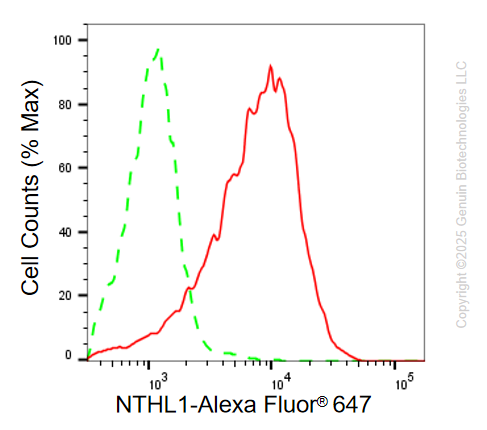 KD-Validated Anti-NTH1 Rabbit Monoclonal Antibody ABG2107