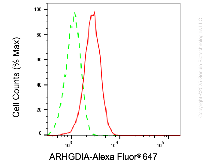 KD-Validated Anti-ARHGDIA Rabbit Monoclonal Antibody ABG2109