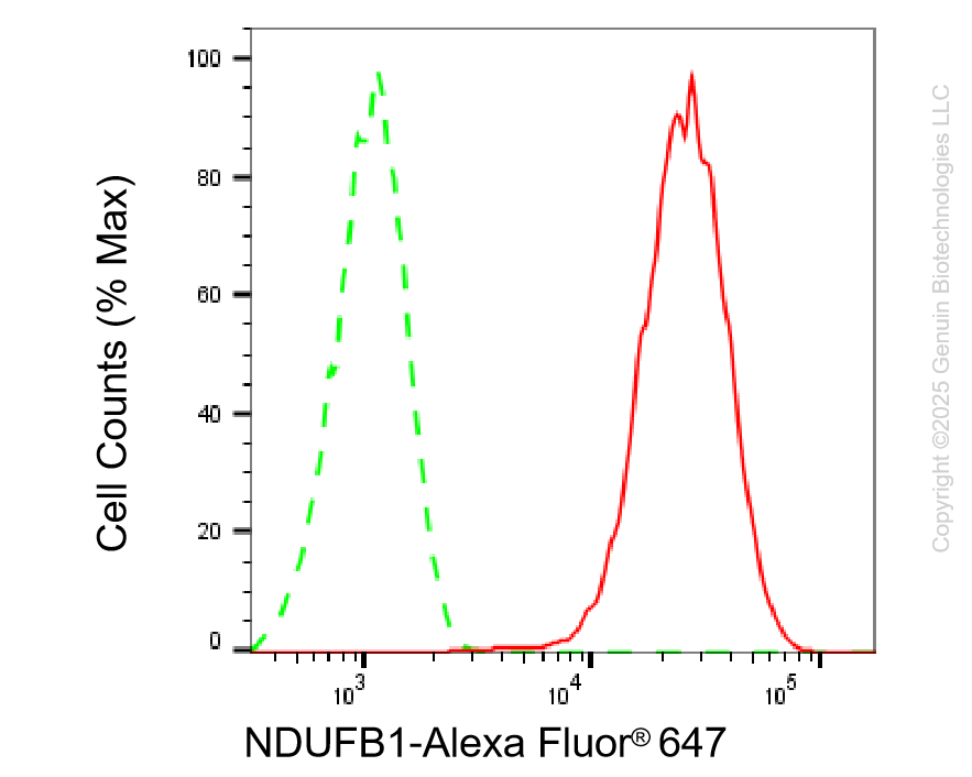 KD-Validated Anti-NDUFB1 Rabbit Monoclonal Antibody ABG2110