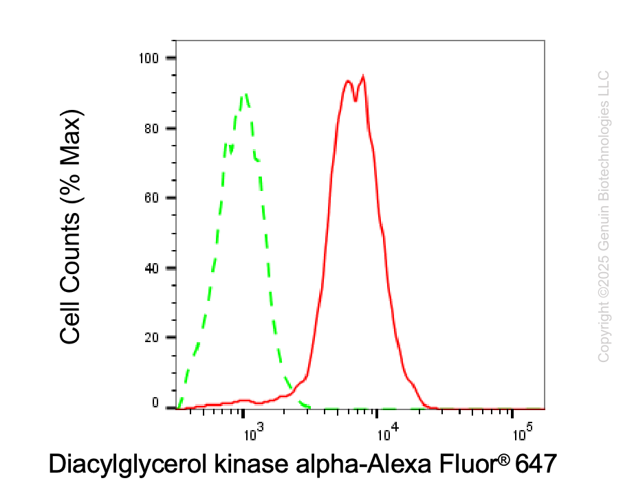 KD-Validated Anti-DGKA Rabbit Monoclonal Antibody ABG2112