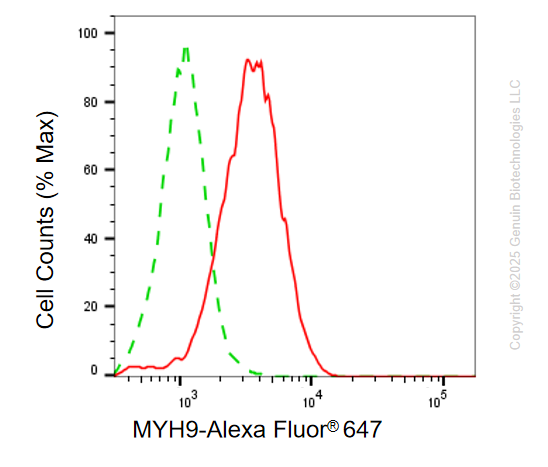 KD-Validated Anti-MYH9 Mouse Monoclonal Antibody ABG2177