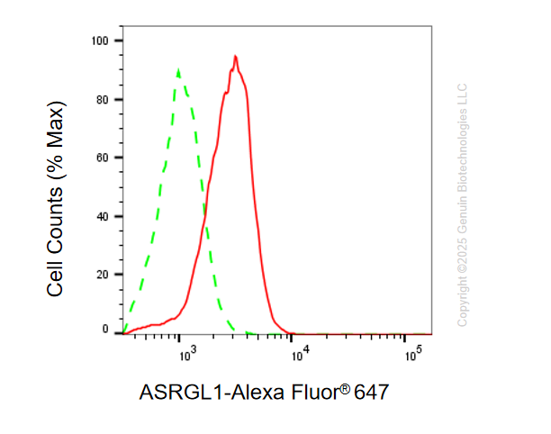 KD-Validated Anti-ASRGL1 Mouse Monoclonal Antibody ABG2180