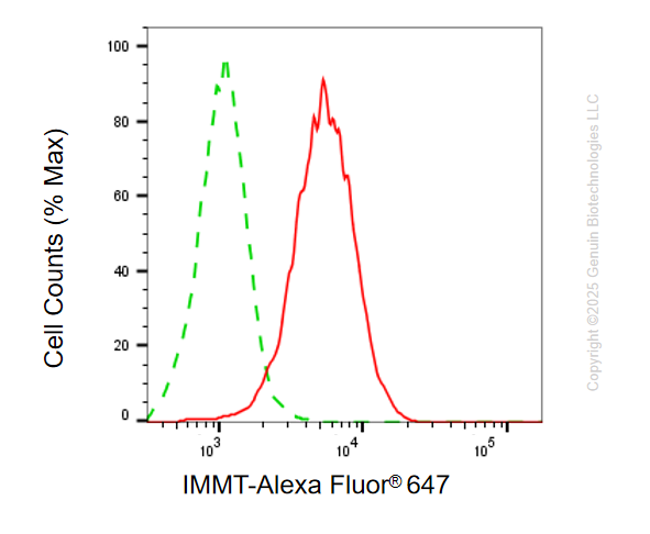 KD-Validated Anti-IMMT Mouse Monoclonal Antibody ABG2185