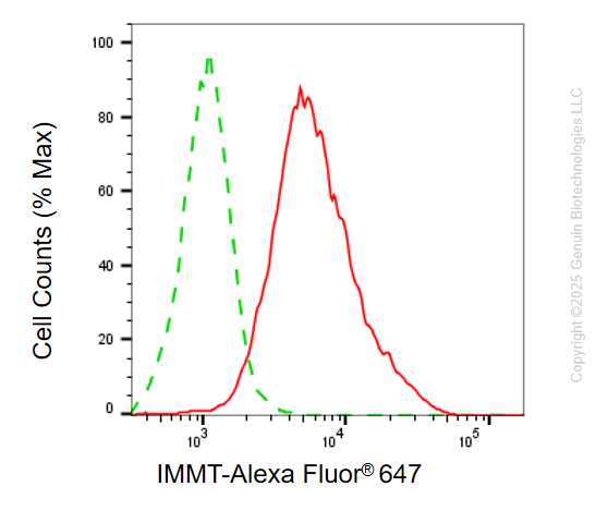 KD-Validated Anti-IMMT Mouse Monoclonal Antibody ABG2186