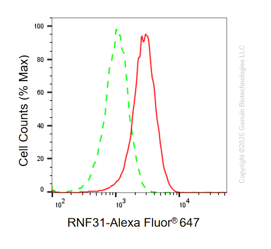 KD-Validated Anti-RNF31 Mouse Oligoclonal Antibody ABG2188