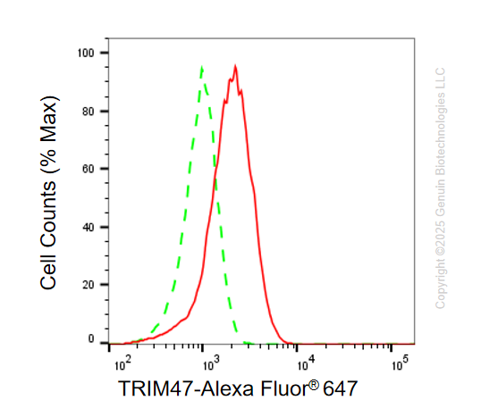 KD-Validated Anti-TRIM47 Mouse Oligoclonal Antibody ABG2189