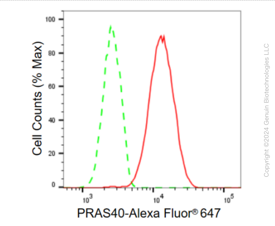 KD-Validated Anti-PRAS40 Rabbit Monoclonal Antibody ABG2190