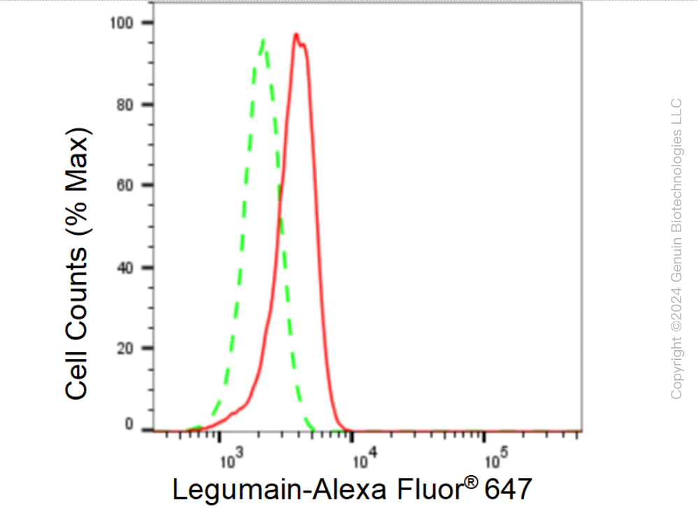 KD-Validated Anti-Legumain Rabbit Monoclonal Antibody ABG2191