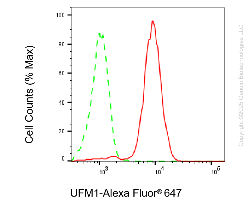 KD-Validated Anti-UFM1 Rabbit Monoclonal Antibody ABG2194