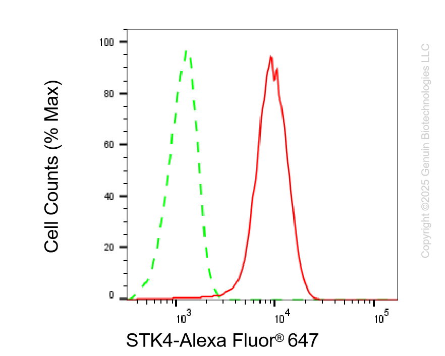 KD-Validated Anti-STK4 Rabbit Monoclonal Antibody ABG2195