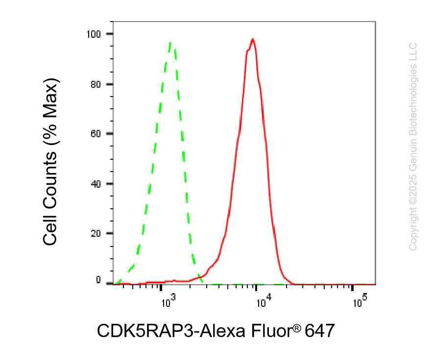 KD-Validated Anti-CDK5RAP3 Rabbit Monoclonal Antibody ABG2197