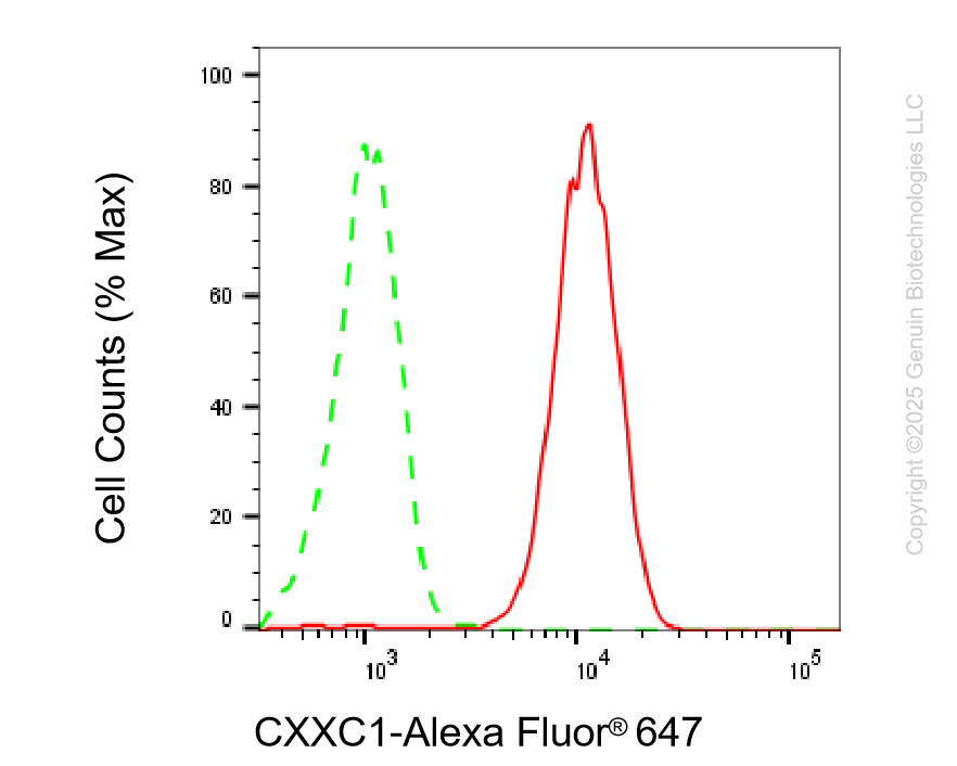 KD-Validated Anti-CXXC1 Rabbit Monoclonal Antibody ABG2199