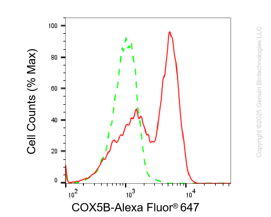 KD-Validated Anti-COX5B Rabbit Monoclonal Antibody ABG2200