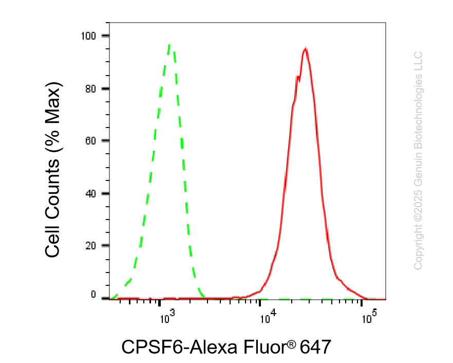 KD-Validated Anti-CPSF6 Rabbit Monoclonal Antibody ABG2201