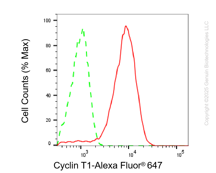 KD-Validated Anti-Cyclin T1 Rabbit Monoclonal Antibody ABG2202