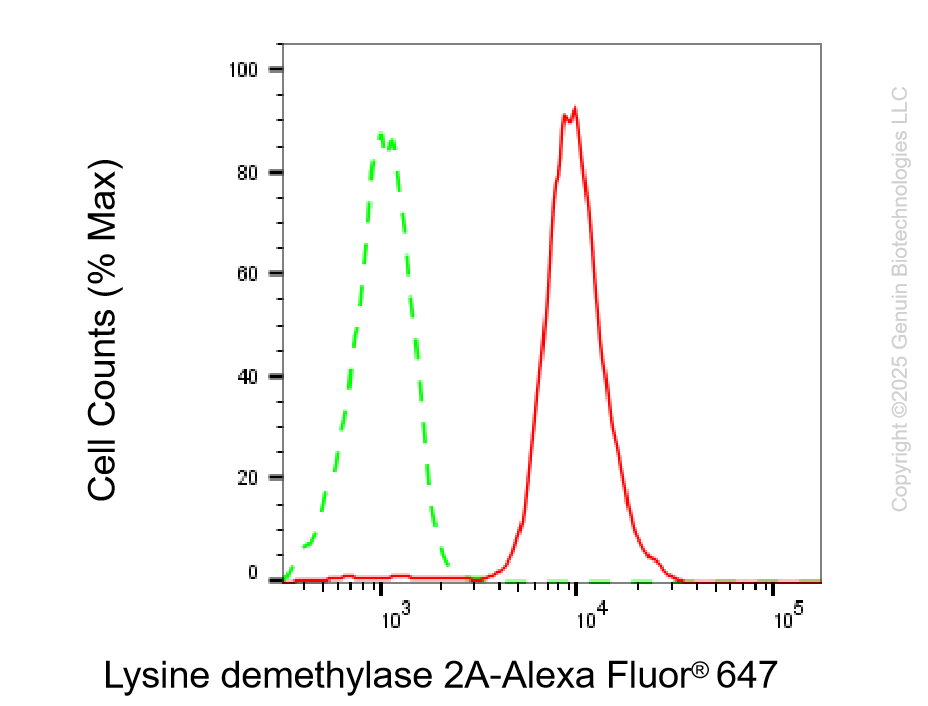KD-Validated Anti-KDM2A Rabbit Monoclonal Antibody ABG2203