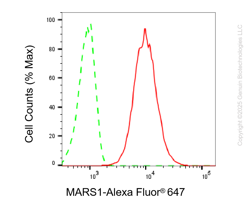 KD-Validated Anti-MARS1 Rabbit Monoclonal Antibody ABG2205