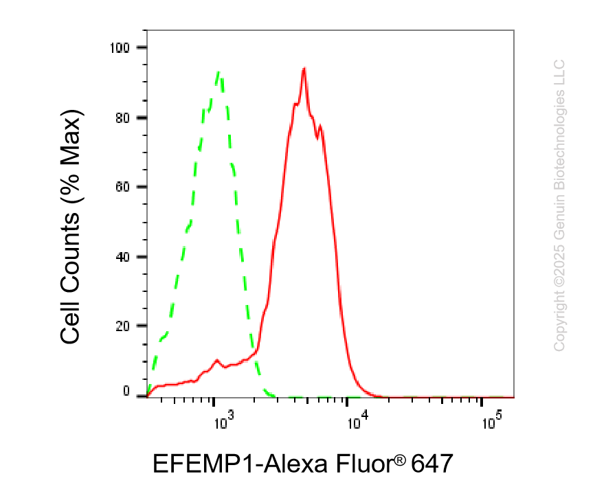 KD-Validated Anti-EFEMP1 Rabbit Monoclonal Antibody ABG2210