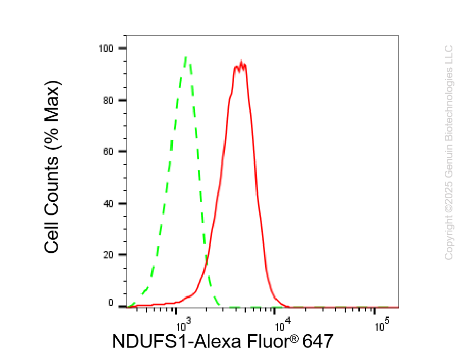 KD-Validated Anti-NDUFS1 Rabbit Monoclonal Antibody ABG2211
