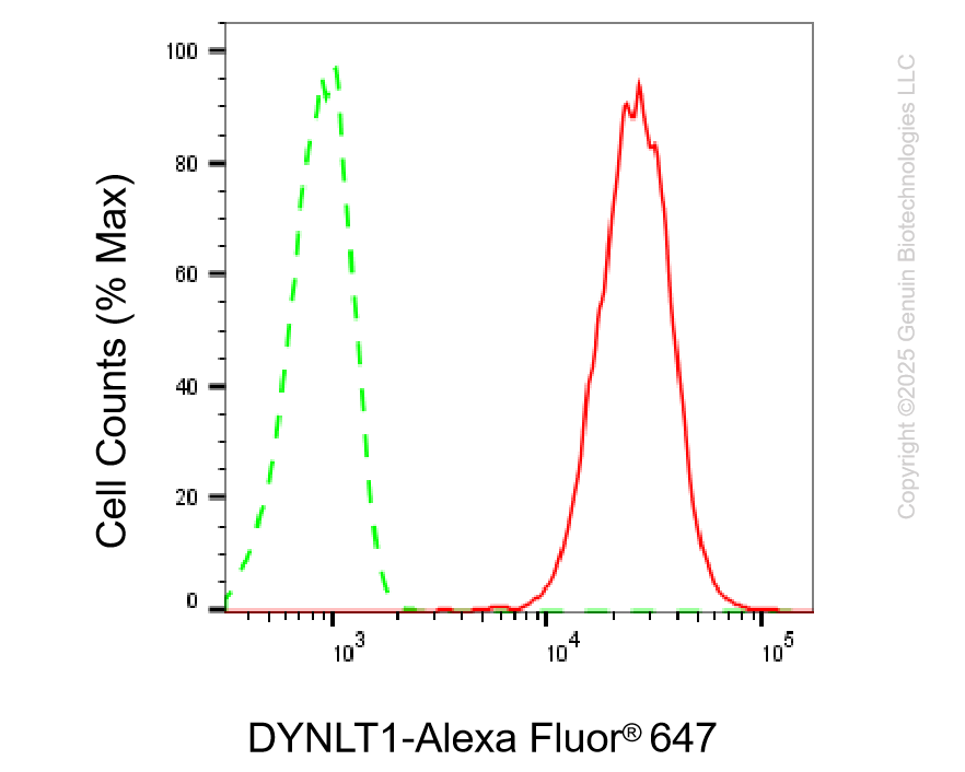 KD-Validated Anti-DYNLT1 Rabbit Monoclonal Antibody ABG2212