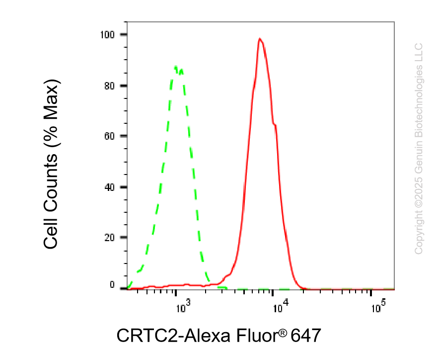 KD-Validated Anti-CRTC2 Rabbit Monoclonal Antibody ABG2213