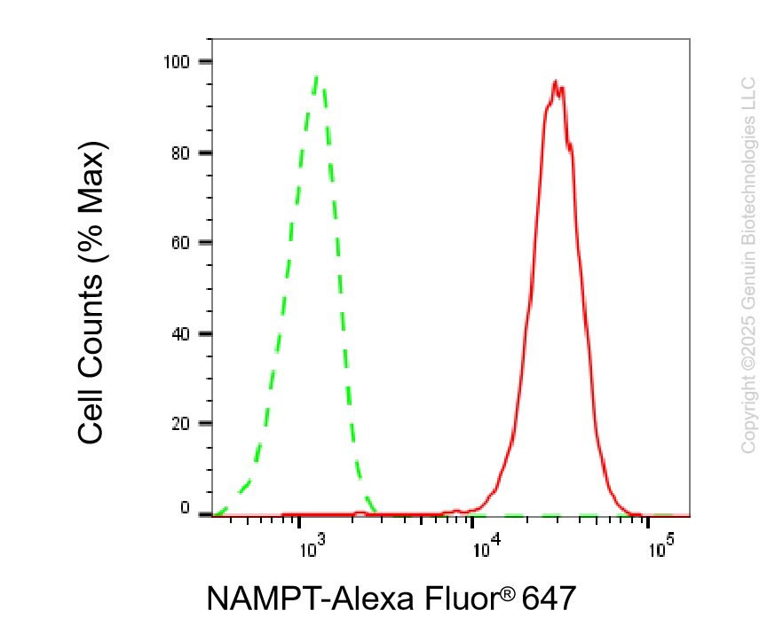 KD-Validated Anti-NAMPT Rabbit Monoclonal Antibody ABG2214