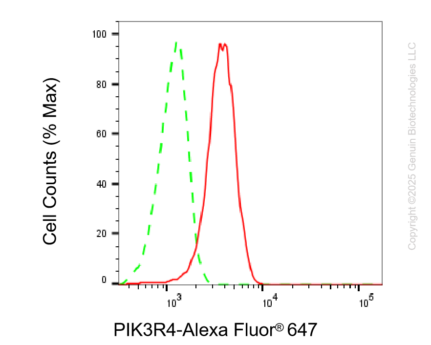 KD-Validated Anti-PIK3R4 Rabbit Monoclonal Antibody ABG2215