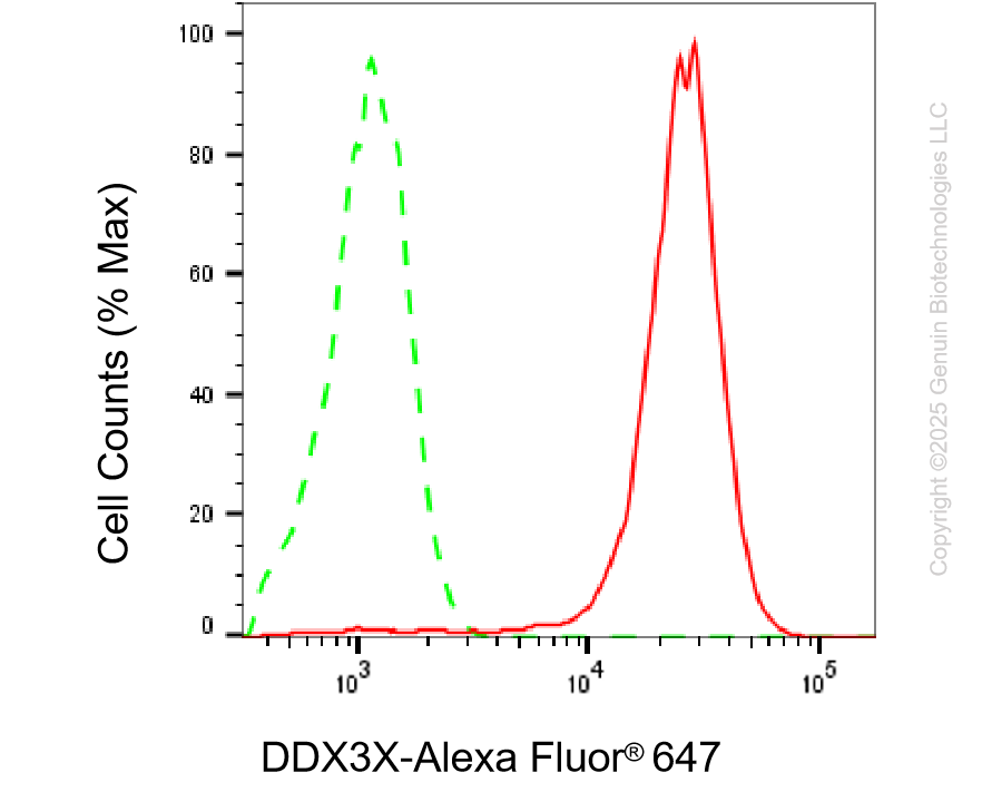 KD-Validated Anti-DDX3X Mouse Monoclonal Antibody ABG2217