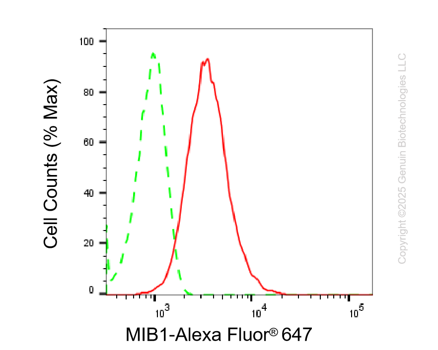 KD-Validated Anti-MIB1 Rabbit Monoclonal Antibody ABG2219