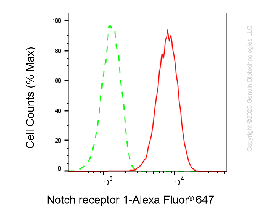 KD-Validated Anti-NOTCH1 Rabbit Monoclonal Antibody ABG2220