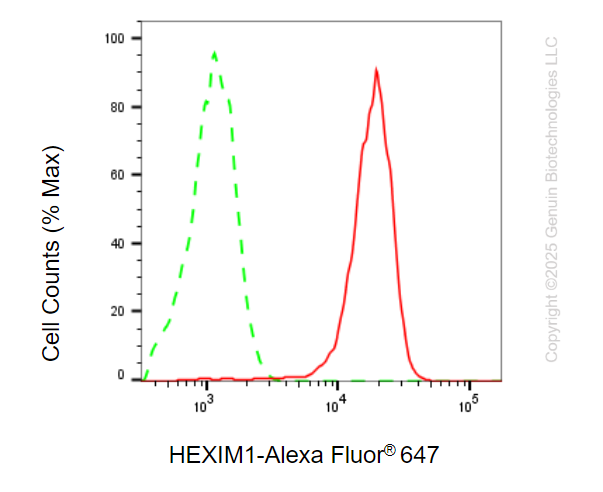 KD-Validated Anti-HEXIM1 Mouse Monoclonal Antibody ABG2221